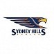 Hills Eagles AFL Club